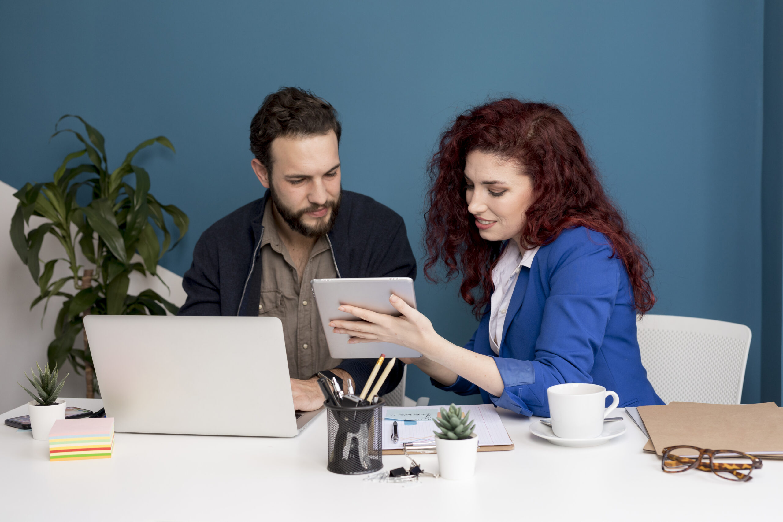 Professionals & Freelancers